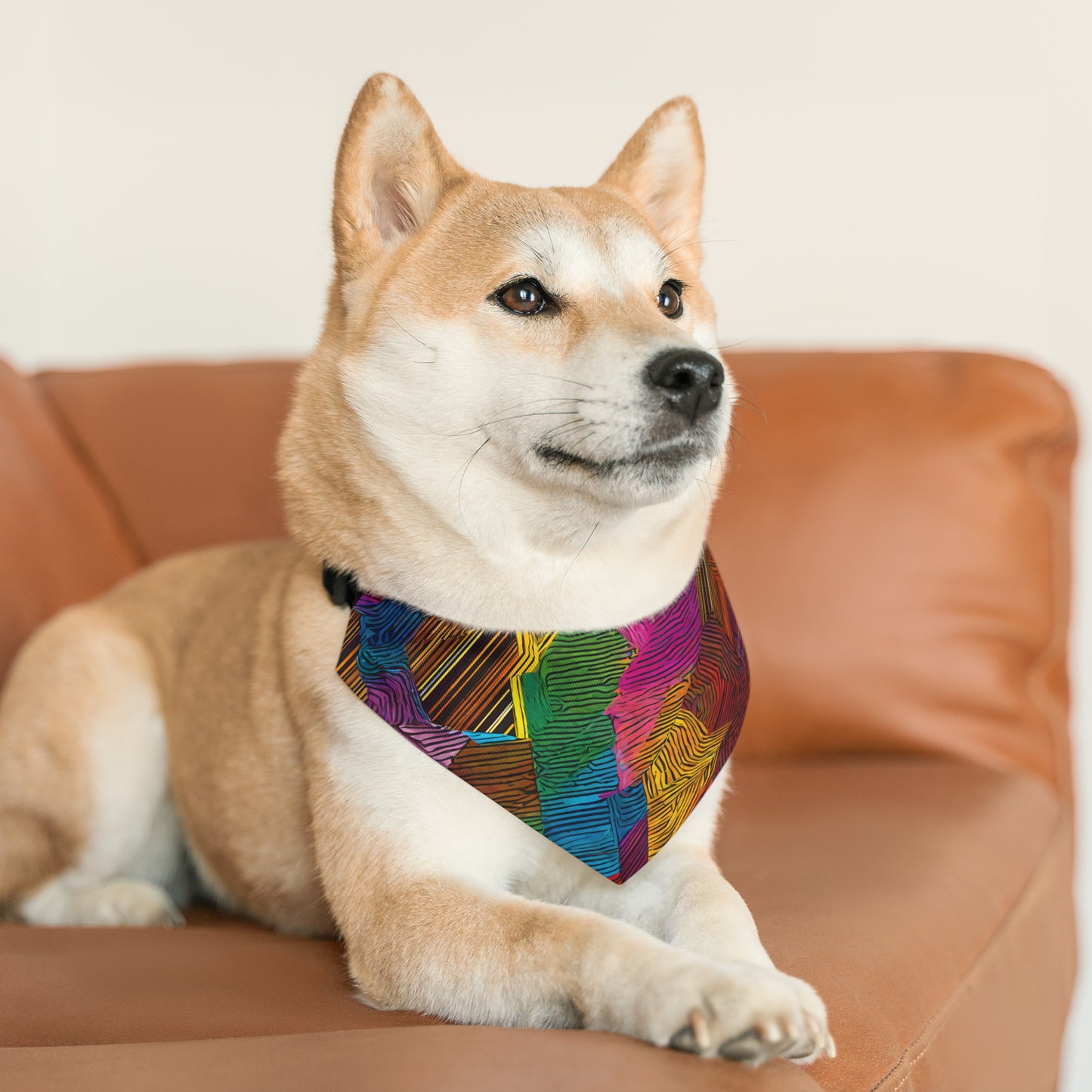 Artistic (type O) - Pet Bandana Collar